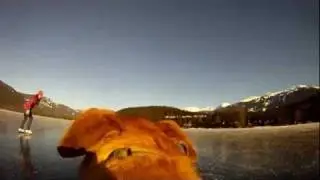 Skating on Alta Lake Dec 22 (dogcam).mp4