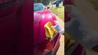 How to remove bug guts off you're car