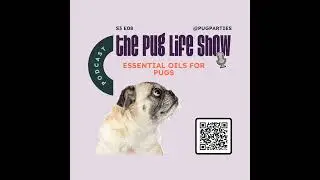 S3 EP08: Essential Oils for Pugs