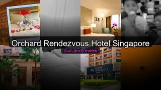 Orchard Rendezvous Hotel Singapore - Central Business and Family Friendly Hotel in Singapore