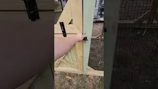 Dutch door for chicken run! #backyardchickens #chickencoop #coop #backyardfarming #chicken