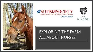 Catalyst Farm Horses