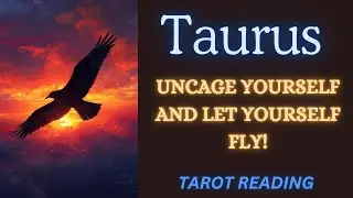 TAURUS ~ UNCAGE YOURSELF AND LET YOURSELF FLY! ~ TAROT READING