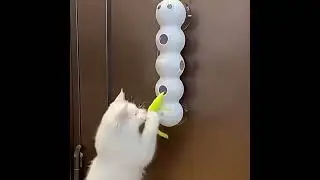 Smart Rechargeable Cat Toy &ndash; Motion-Activated Tail Teaser for Kittens | Fun & Safe #cattoy #petcare