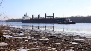 Bulk Carrier “Holland Pearl” heading down River on the Delaware (1/7/25)