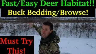 #1 Tree You NEED On Your Hunting Land For Deer Habitat/Food! Better than Apples/Oaks!