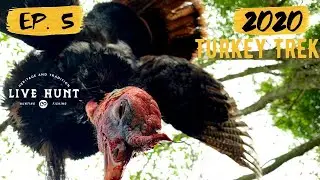 HOW CHANGING YOUR POSITION WILL HELP YOU KILL MORE TURKEYS!