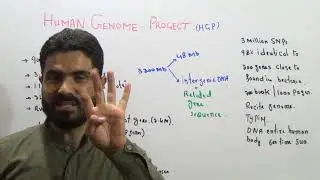 Human Genome Project