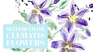 How to paint watercolor clematis flowers for beginners