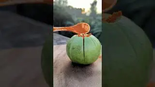 Amazing Masala Guava Traditional Food #shorts #guava #pickle