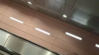 Feeling Dizzy on the Escalator as the wall is feeling that we are falling down lol