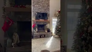 Экскурсия по дому в стиле фермерского дома, украшенному к Рождеству 🎄 #фермерскийдом #рождество #...