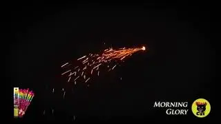 Morning Glory 16 inch sparkler by Black Cat Fireworks