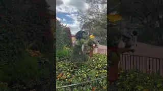 FIRST LOOK 👀 Sneak Peek Epcot Flower and Garden Festival 2024! #disneyworld