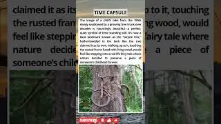 The Tree That Swallowed a Bicycle 70 YEARS Ago!