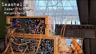Seashells - Generative Ambient Eurorack Modular piece no. 156 - Zadar, Arbhar, Morphagene, Nautilus