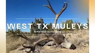 WEST TEXAS MULE DEER HUNTING