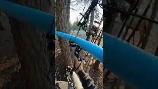 Wrong Arrow Loaded