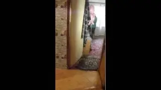 DSCF3227