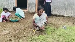 पसारा लावायला घर सारवल आता ओट्यावरच गवत काढतोय 