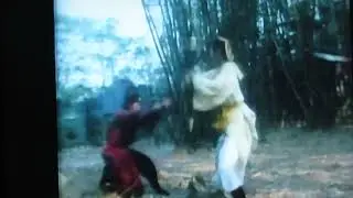 Sharon Yang 1977 fight scene