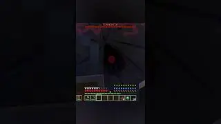 The Tormentor - Horror Minecraft - #gaming #funny #meme @feedog_yt