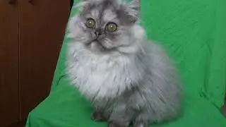 DSCF1958