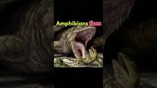 Amphibians now vs then | #edit #amphibians #frog #toad #salamander #caecilian #prehistoric