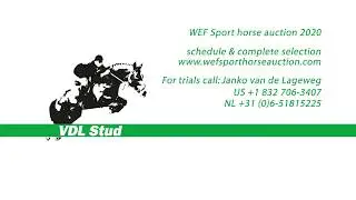 VDL Stella - WEF Sport Horse Auction 2020