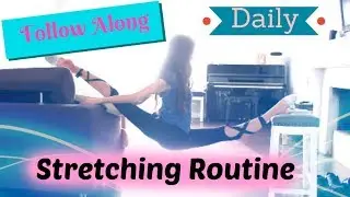 Follow Along Daily Stretching Routine