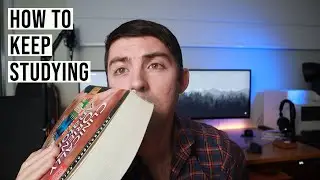 How to keep studying and not hate your life