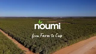 Australian Almond Sourcing process from farm to cup with Mick Betson