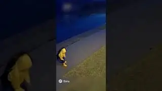 &ldquo;Hero Dog Saves Boy From Out-of-Control Truck in Rain 🌧️🐕 | Real Doorbell Cam&rdquo;