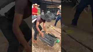 O cara derrubou a pinga do Miguel