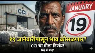 🚨 19 जानेवारी अलर्ट! CCI विक्री सुरू → कापूस भाव थेट कोसळणार? | Cotton Rate Today