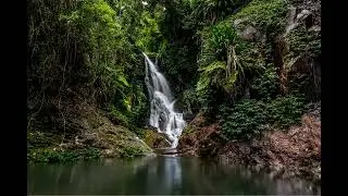 Lamington National Park Ancient Landscapes