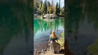 Would you swim in an alpine lake in October? #shorts #swimming #polarplunge