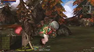 Lineage 2 NA CROW server, how to grow a Big Head (best SPA in the game), day 53