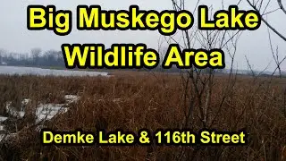 Big Muskego Lake Wildlife Area - Demke Lake & 116th Street Location