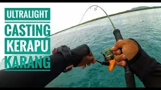 Casting kerapu di karang dangkal || ultralight fishing || strike bertubi tubi