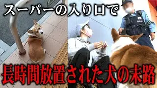 【許せない】犬を置き去りにした飼い主の理由が理解不能だった