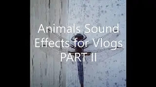 TOP 7 Animals Sound Effects for Vlogs PART II - (NO COPYRIGHT)