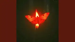 Below My Motion (Bonus)
