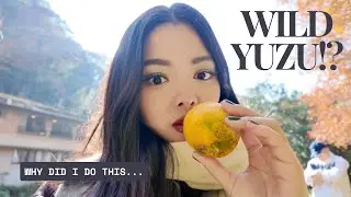 Japan vlog | Fukuoka, food finds, autumn | what surprised me