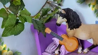 It Is What It Is~ Schleich Music Video (by Jenna Raine)
