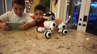 Contixo Puppy Smart Voice & App Controlled Kids Robot Dog Toy