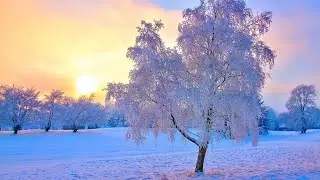 Gentle Reading Music, Helps Relax, Focus, Study Effectively