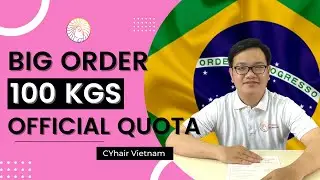 Big Order 100kgs Real Human Hair | CYhair Vietnam Hair Factory