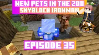 NEW PETS IN THE ZOO!! Ironman Skyblock Ep. 35 (VOD)