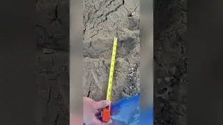 Bigfoot tracks found on the Rosebud